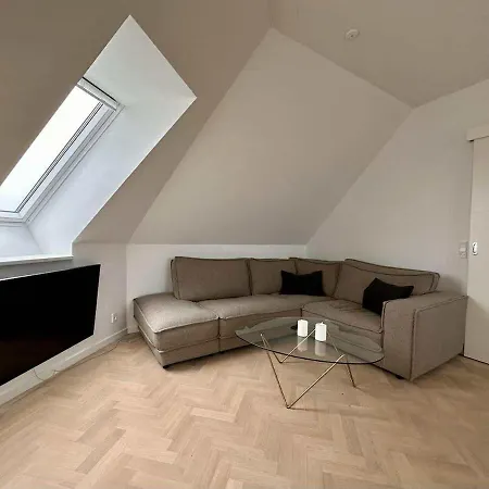 Penthouse W Rooftop Terrace And Elevator Apartamento Copenhaga