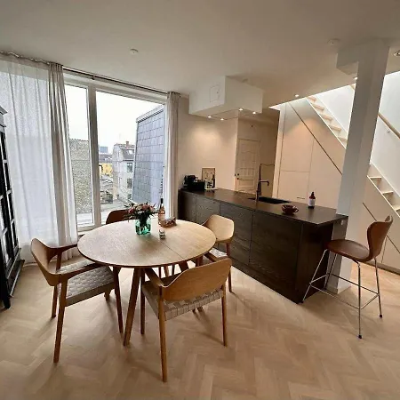 Apartamento Penthouse W Rooftop Terrace And Elevator *