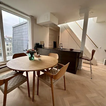 Penthouse W Rooftop Terrace And Elevator