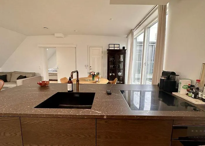 Penthouse W Rooftop Terrace And Elevator * Κοπεγχάγη