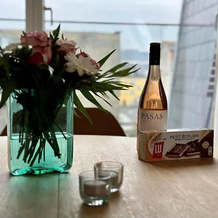 公寓 Penthouse W Rooftop Terrace And Elevator 哥本哈根