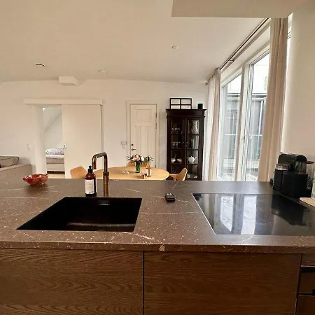 Penthouse W Rooftop Terrace And Elevator * 哥本哈根