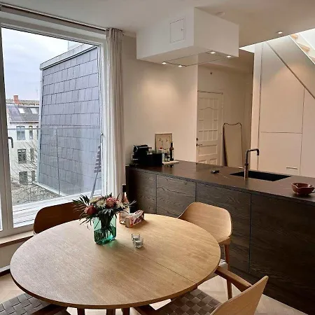 公寓 Penthouse W Rooftop Terrace And Elevator 哥本哈根