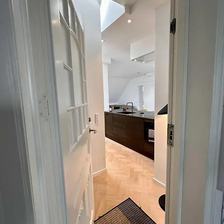 公寓 Penthouse W Rooftop Terrace And Elevator *